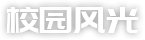 ope体育电竞